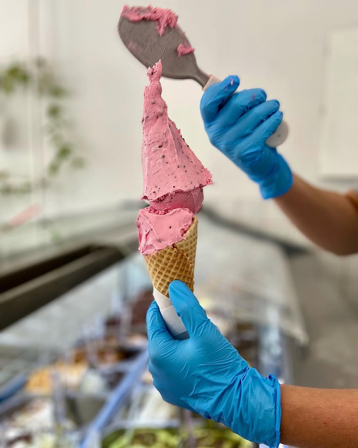 Gelato artesanal Mikelo